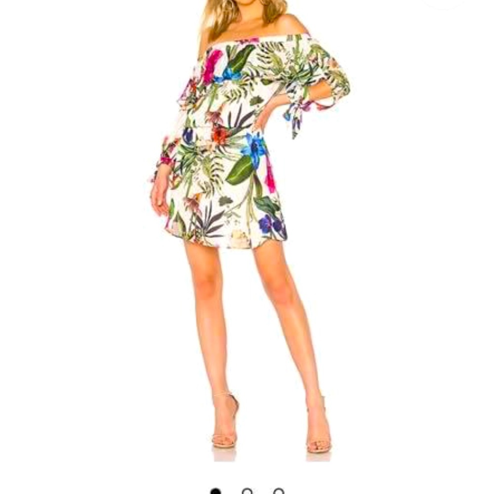 Parker dress Alexis